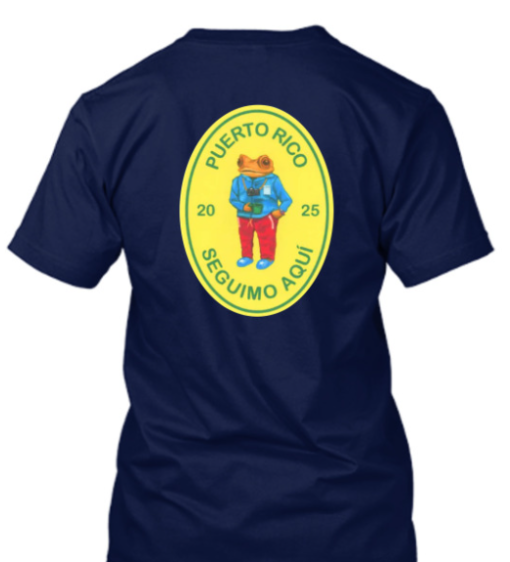 Bad Bunny DTMF Puerto Pico Seguimo Aqui 2025 Shirt T-Shirt