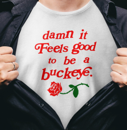 endless block damn it feels good to be a buckeye shirt T-Shirt