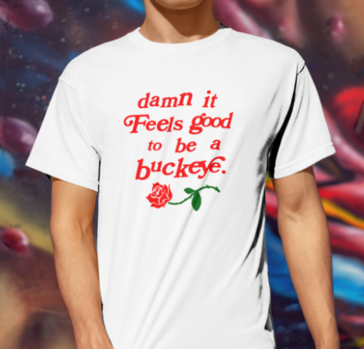 endless block damn it feels good to be a buckeye shirt T-Shirt - Image 2